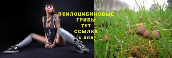 крисы Алексеевка