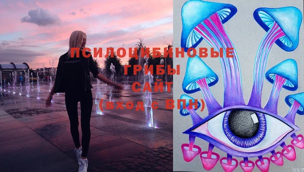 крисы Алексеевка
