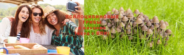 крисы Алексеевка